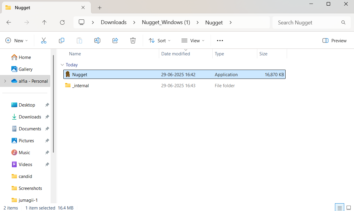 Nugget Application