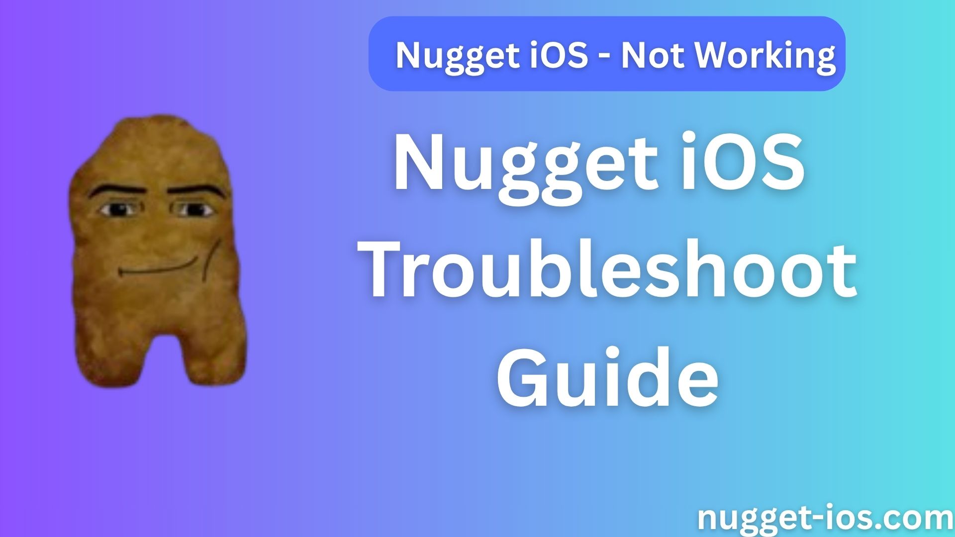 Nugget iOS Not Working