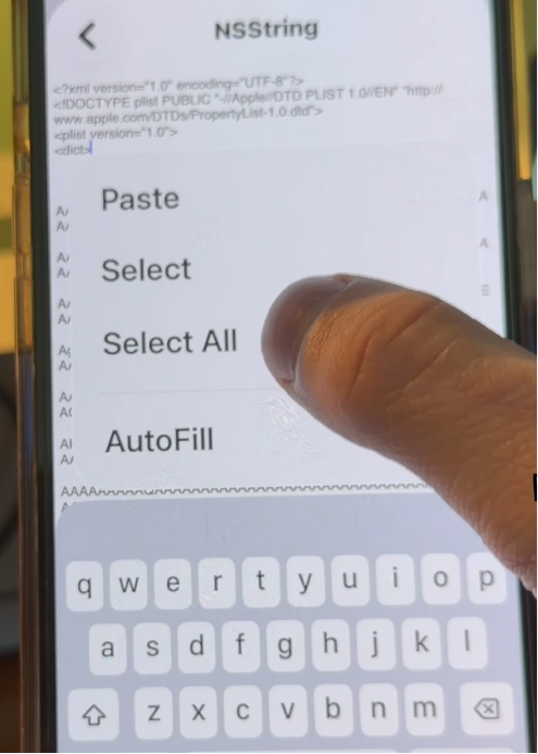 Copy raw MobileGestalt plist code