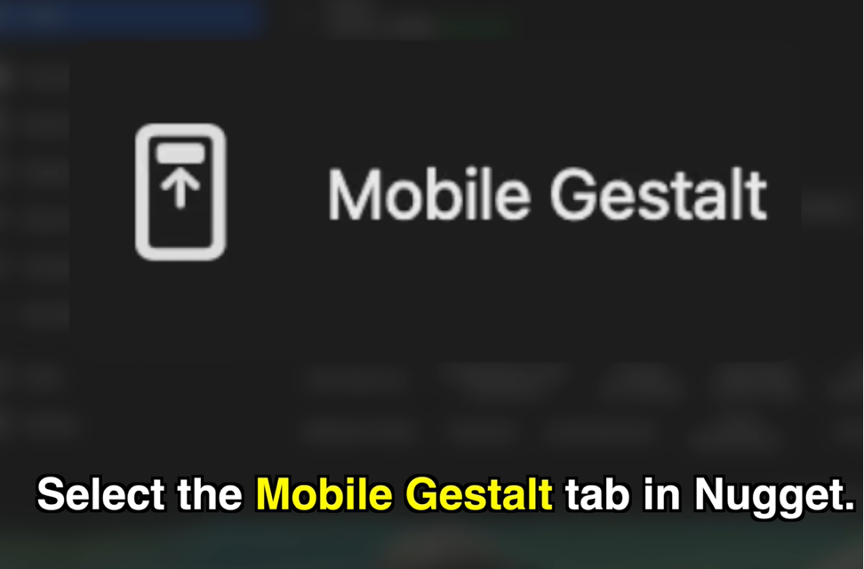 Select Mobile Gestalt Tab inside Nugget