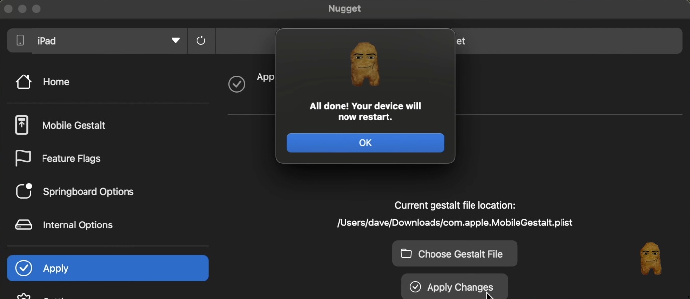 Apply Changes in Nugget